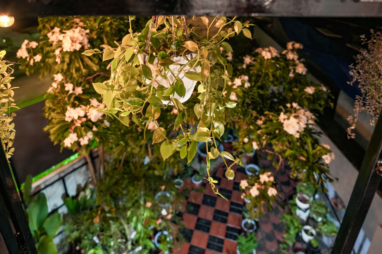 Garden courtyard at Nello's Home Stay